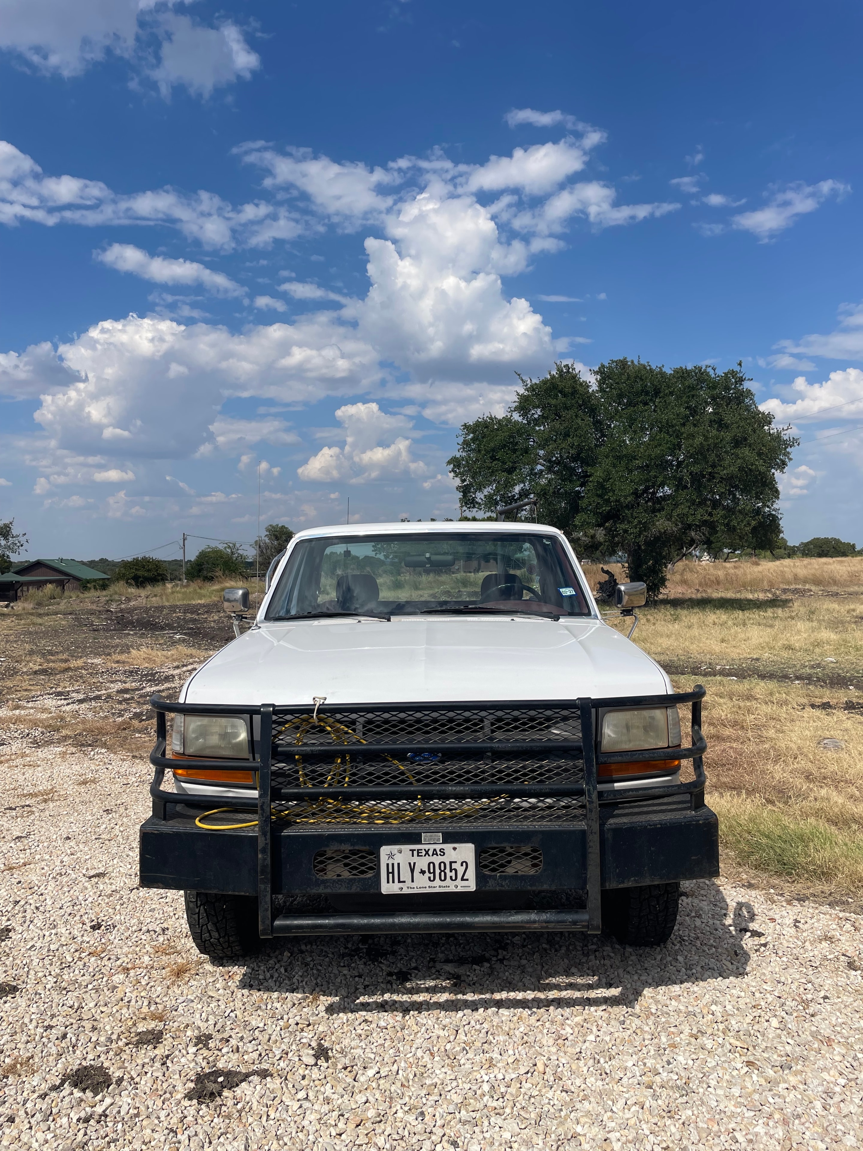 1995 Ford F-250 — front with brush guard
