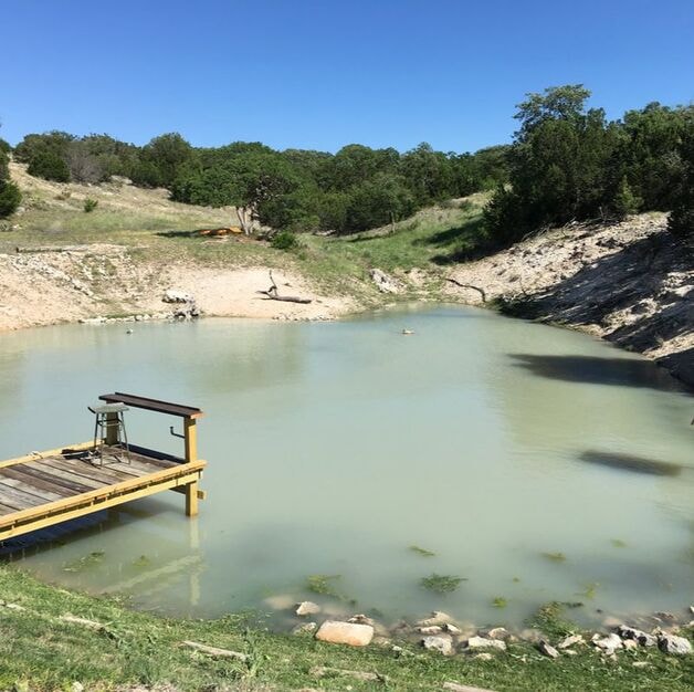 Wooden dock beside a small pond